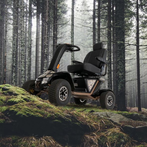 wrangler 2 forest