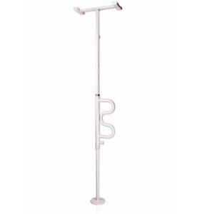 Security Pole with Curve Grab Bar